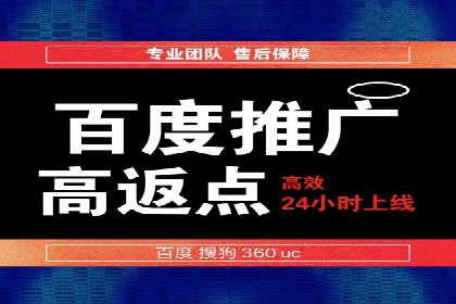 案例研究：SEM推广助力企业业绩增长